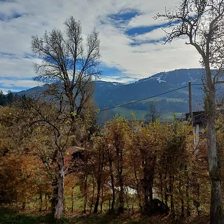 Alpenland Apartment